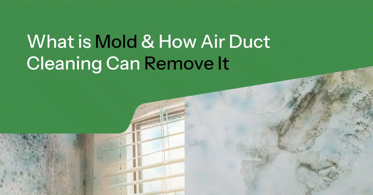 This image shows visible mold growth on interior surfaces including walls and around a window with blinds, demonstrating the types of contamination that can occur in homes. The title overlay reads "What is Mold & How Air Duct Cleaning Can Remove It," indicating the educational focus on mold identification and remediation. The green background contrasts with the close-up photographs of dark mold patches to emphasize the problem being addressed.