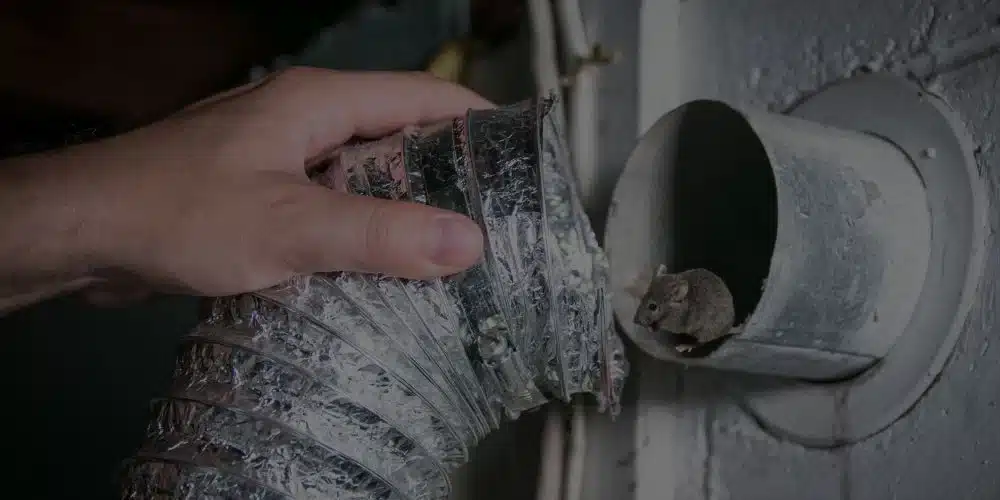 A person's hand touches a dryer vent duct that is heavily clogged with lint buildup, while a gray dryer vent opening is visible on the right side of the image. The accumulated lint on the flexible metal ductwork poses a fire hazard and indicates the need for vent cleaning and maintenance. This image illustrates a common household issue where dryer vents become obstructed over time, reducing efficiency and creating safety risks.